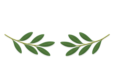 Creaciones Vikingas Naturales rama de olivo Arte Rúnico