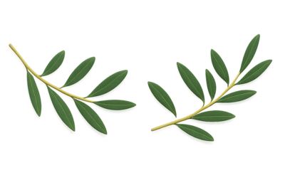 Creaciones Vikingas Naturales rama de olivo Arte Rúnico