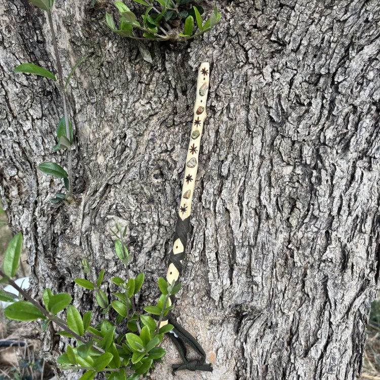  🌿 Varita Anevar. La que ordena el camino y devuelve la verdad de la forma.