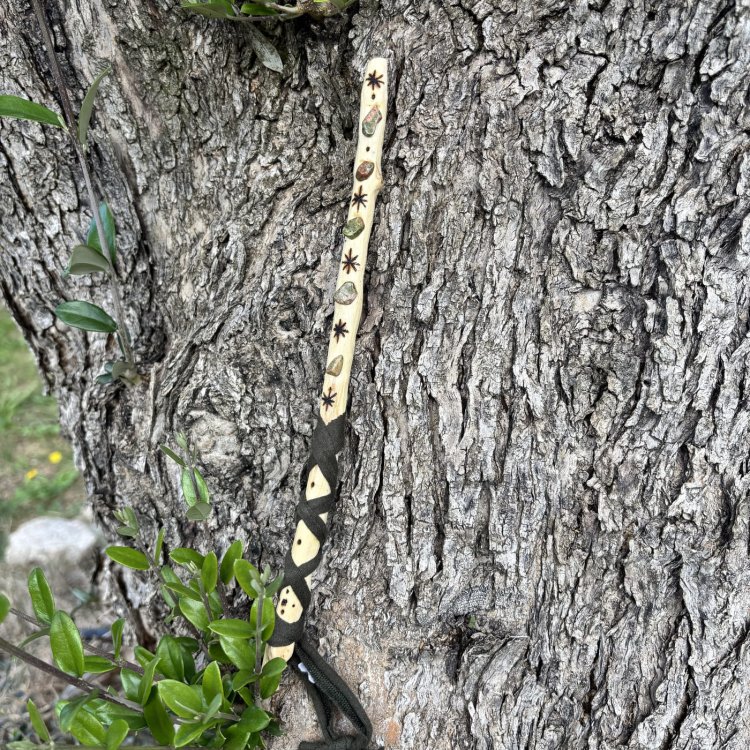  🌿 Varita Anevar. La que ordena el camino y devuelve la verdad de la forma.