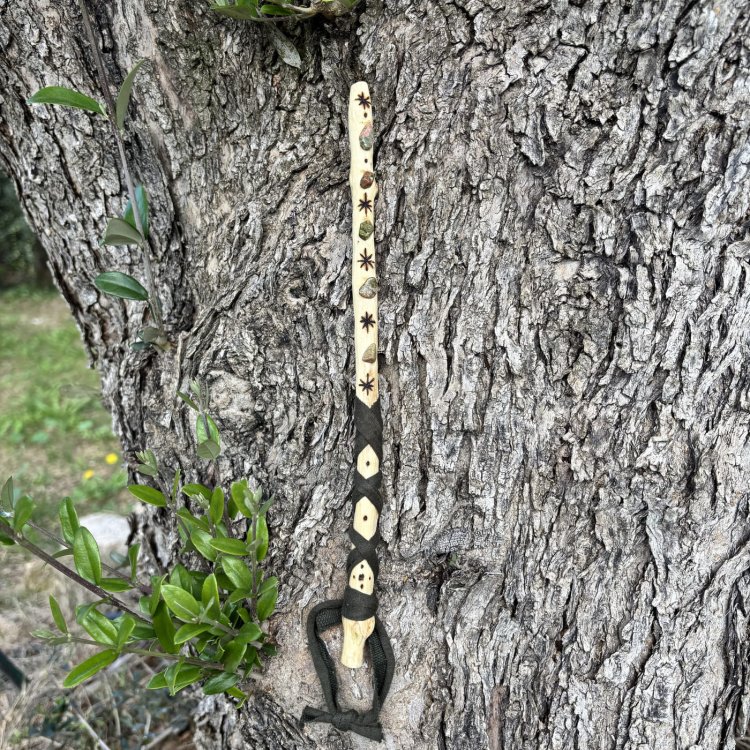  🌿 Varita Anevar. La que ordena el camino y devuelve la verdad de la forma.
