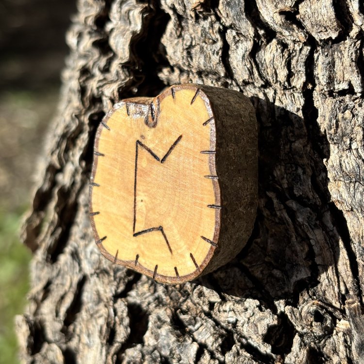  Runa Vikinga Perthro en Madera de Olivo – Misterios y Secretos