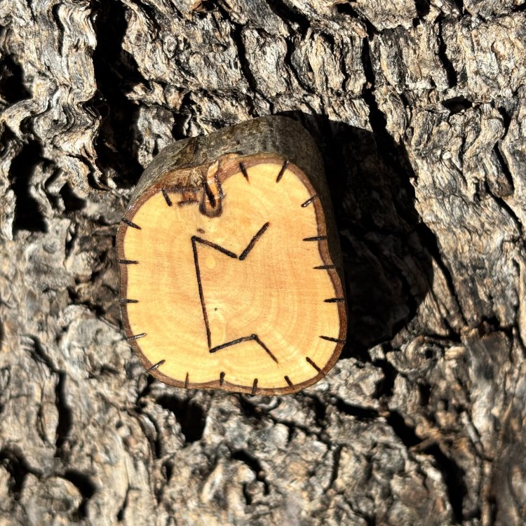  Runa Vikinga Perthro en Madera de Olivo – Misterios y Secretos