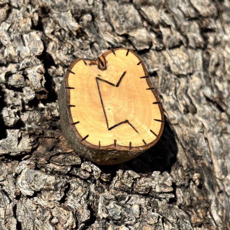  Runa Vikinga Perthro en Madera de Olivo – Misterios y Secretos