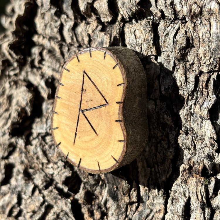  Runa Vikinga Raido en Madera de Olivo – Viaje y Progreso