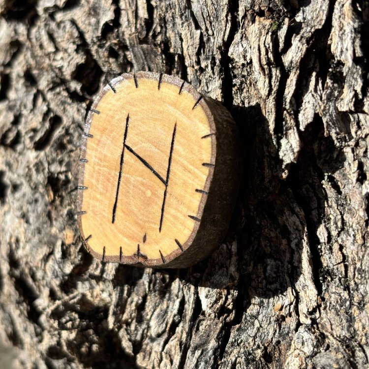  Runa Vikinga Hagalaz en Madera de Olivo – Símbolo de Ruptura y Transformación