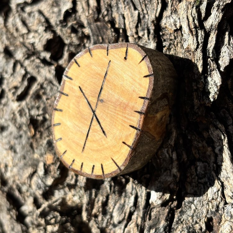  Runa Vikinga Nauthiz en Madera de Olivo – Supera Obstáculos