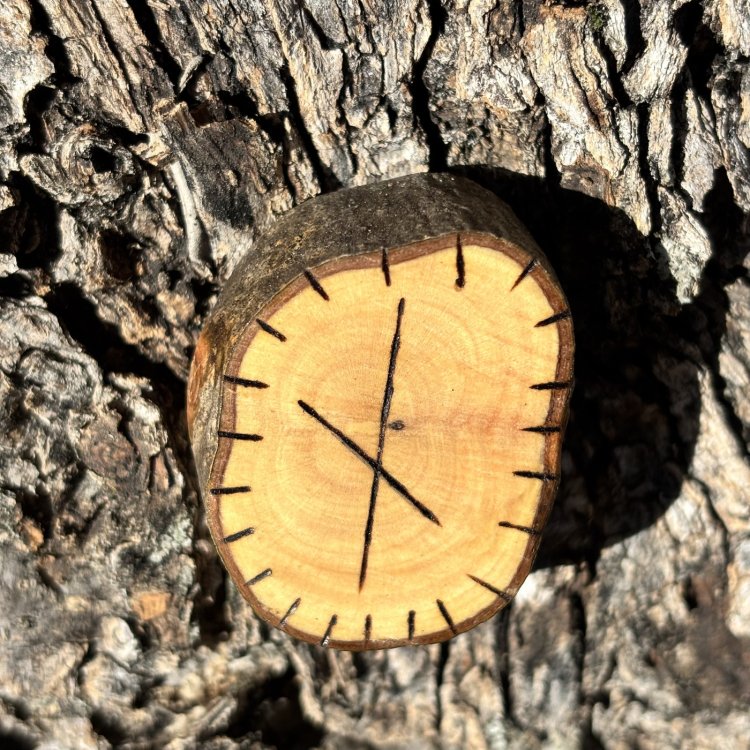  Runa Vikinga Nauthiz en Madera de Olivo – Supera Obstáculos