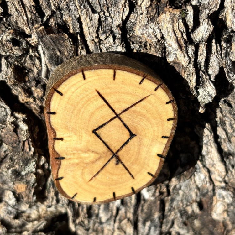  Runa Vikinga Ingwaz en Madera de Olivo – Amor Verdadero