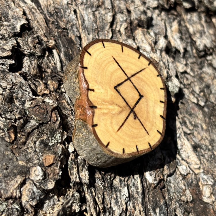  Runa Vikinga Ingwaz en Madera de Olivo – Amor Verdadero