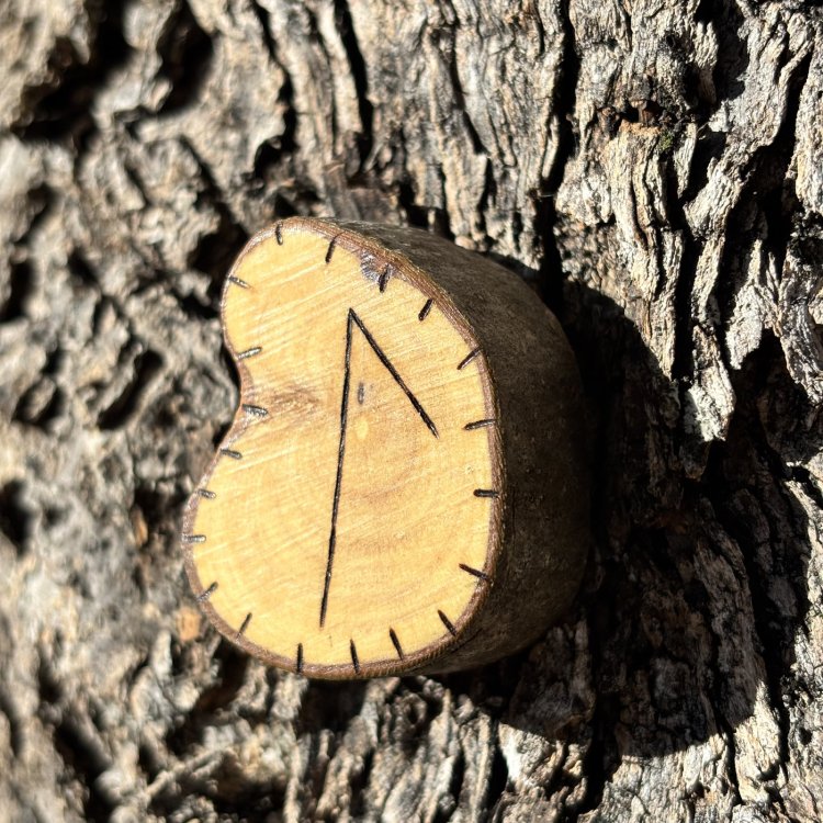  Runa Vikinga Laguz en Madera de Olivo – Intuición y Fluidez