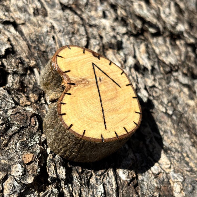  Runa Vikinga Laguz en Madera de Olivo – Intuición y Fluidez