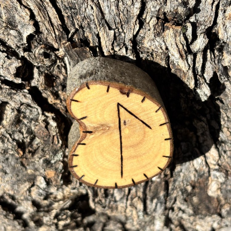  Runa Vikinga Laguz en Madera de Olivo – Intuición y Fluidez