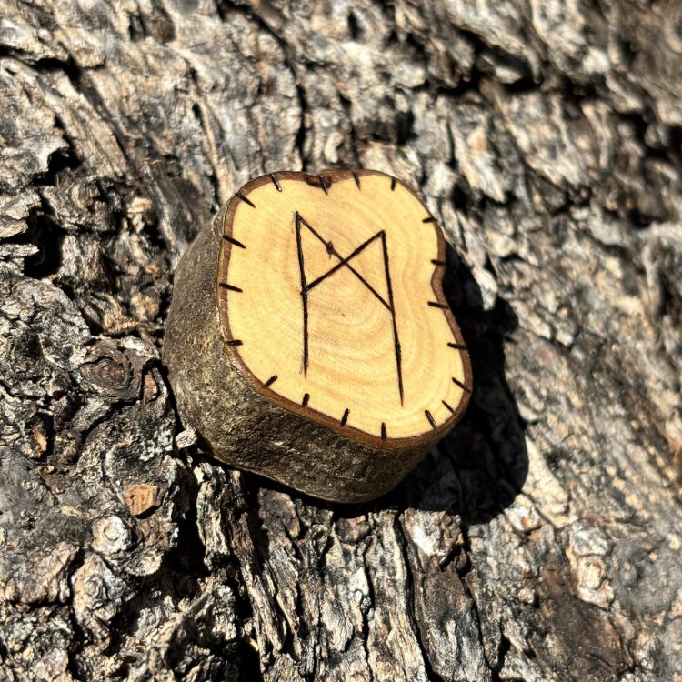  Runa Vikinga Mannaz en Madera de Olivo – Equilibrio Personal