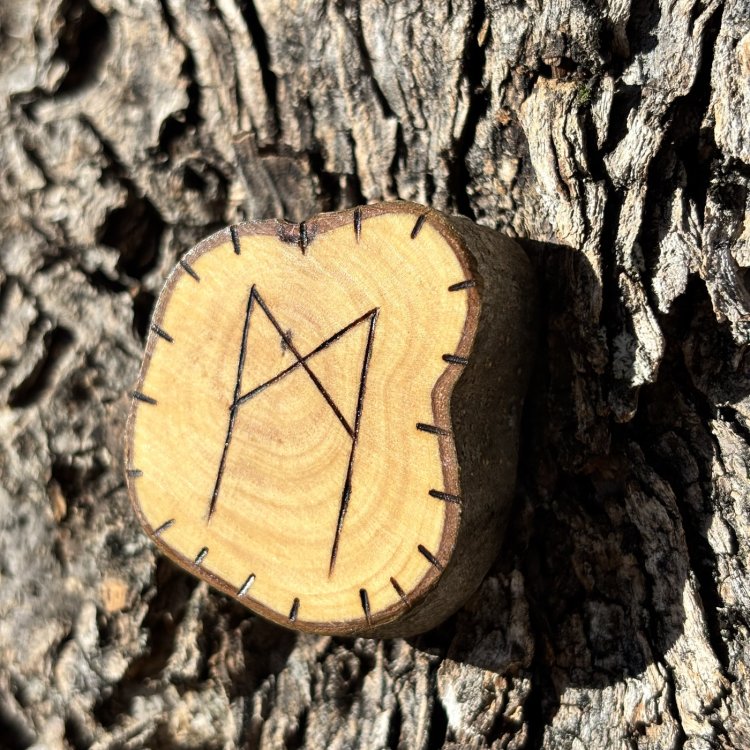  Runa Vikinga Mannaz en Madera de Olivo – Equilibrio Personal