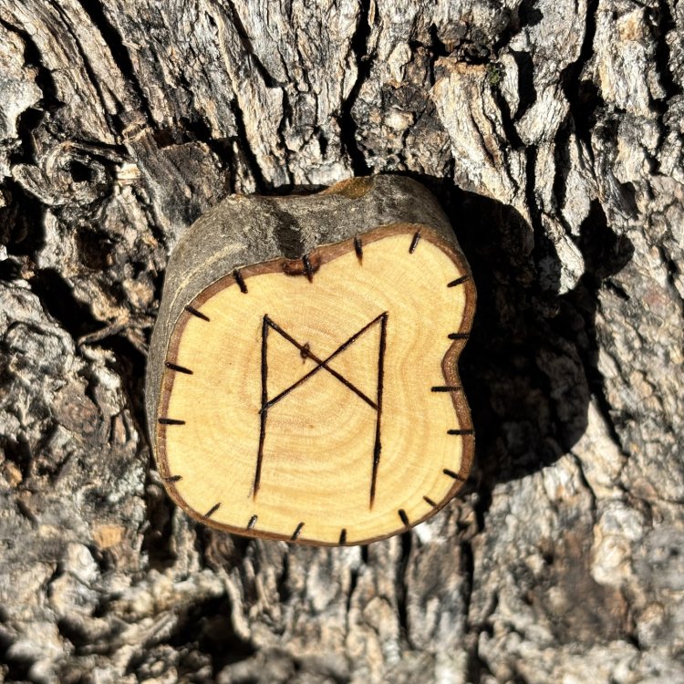  Runa Vikinga Mannaz en Madera de Olivo – Equilibrio Personal