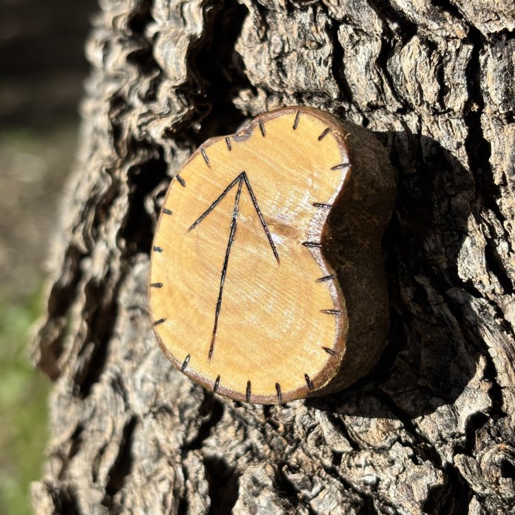  Runa Vikinga Teiwaz en Madera de Olivo – Símbolo del Guerrero y Valentía