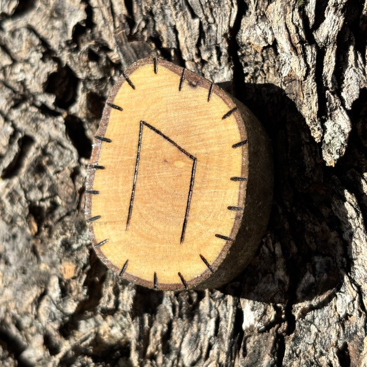  Runa Vikinga Uruz en Madera de Olivo – Símbolo de Transformación y Crecimiento