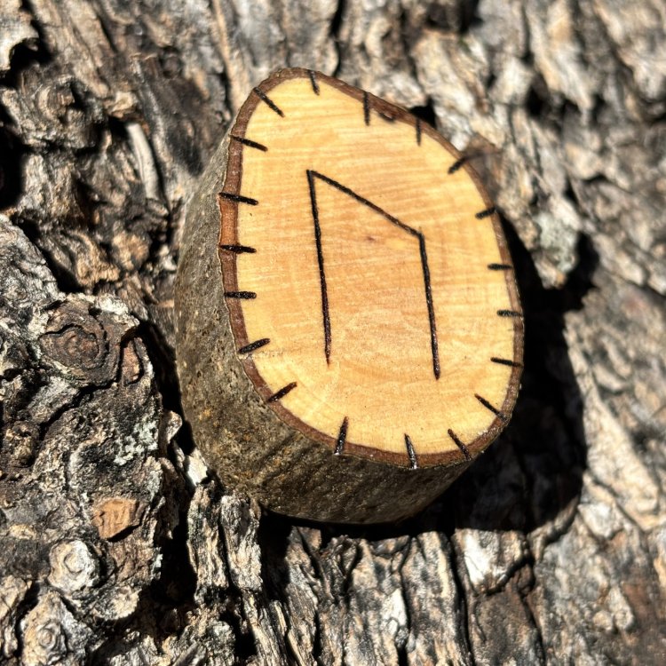  Runa Vikinga Uruz en Madera de Olivo – Símbolo de Transformación y Crecimiento