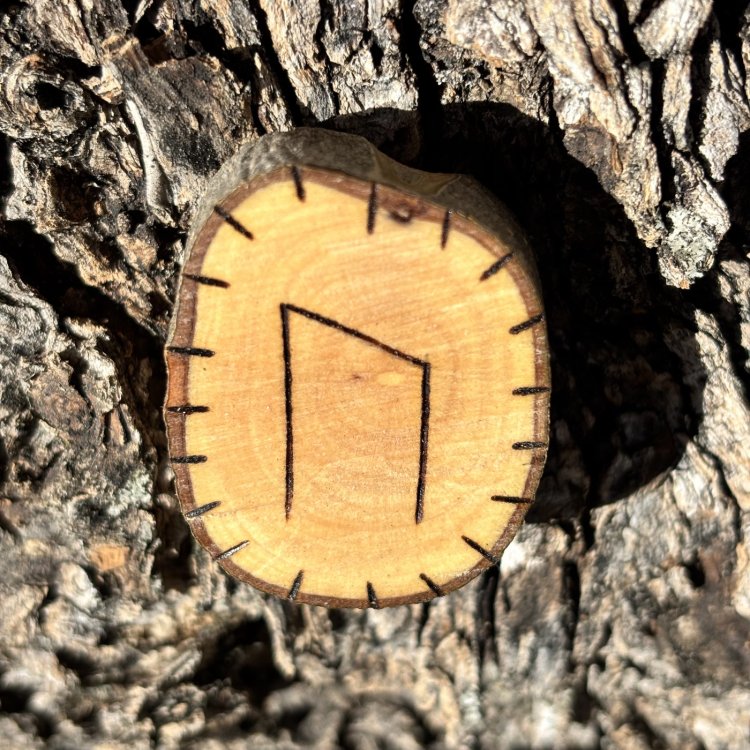  Runa Vikinga Uruz en Madera de Olivo – Símbolo de Transformación y Crecimiento