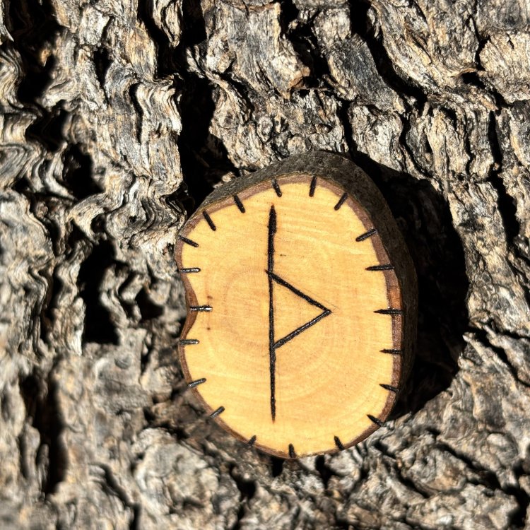  Runa Vikinga Thurisaz en Madera de Olivo – Símbolo de Protección y Coraje