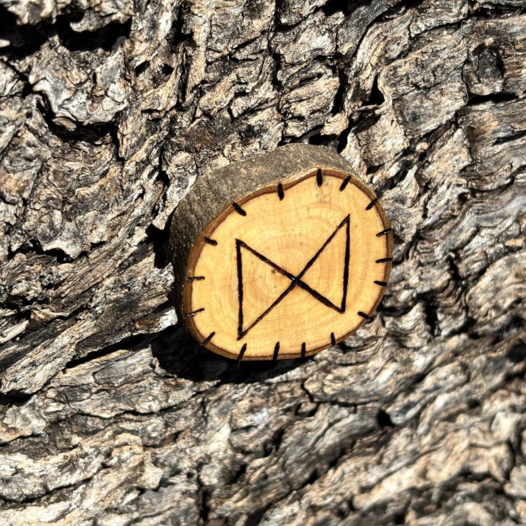  Runa Vikinga Dagaz en Madera de Olivo – Símbolo de Cambio y Transmutación