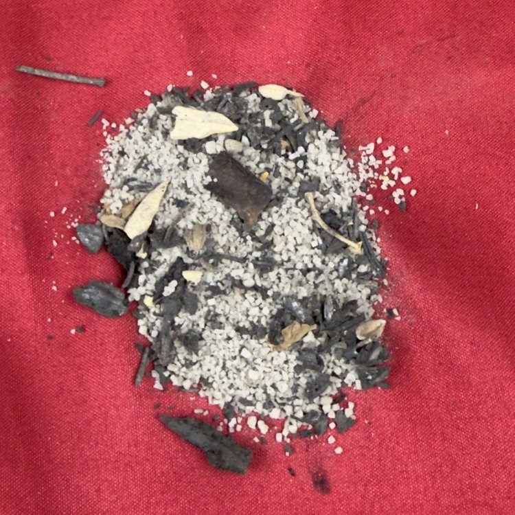  Sal Negra de Protección – Limpieza y Defensa Energética