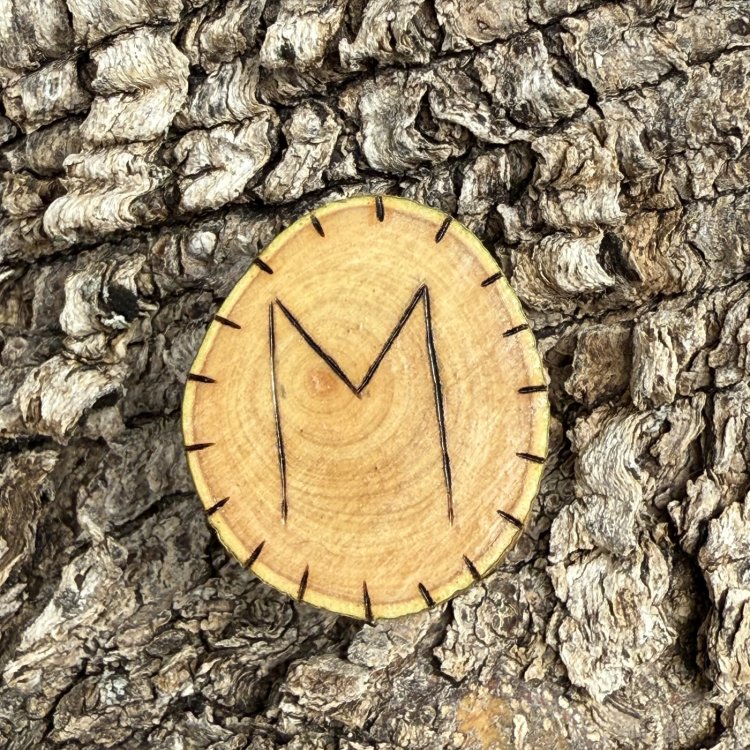 Runa Vikinga Ehwaz en Madera de Olivo – Símbolo de Cambio y Equilibrio