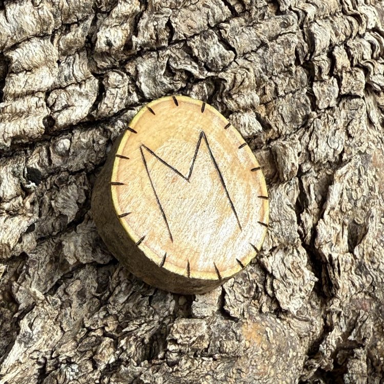  Runa Vikinga Ehwaz en Madera de Olivo – Símbolo de Cambio y Equilibrio