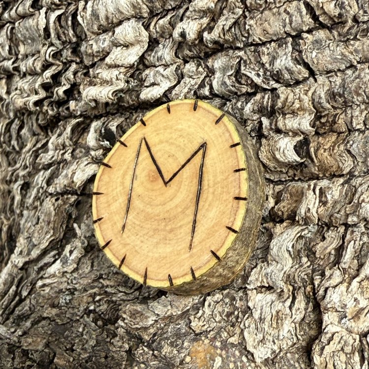  Runa Vikinga Ehwaz en Madera de Olivo – Símbolo de Cambio y Equilibrio