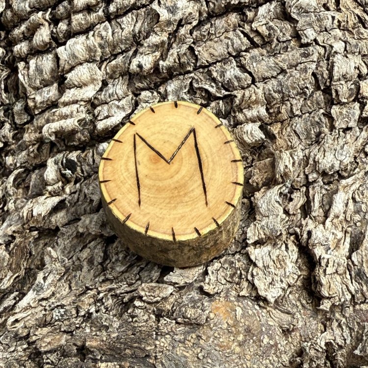  Runa Vikinga Ehwaz en Madera de Olivo – Símbolo de Cambio y Equilibrio