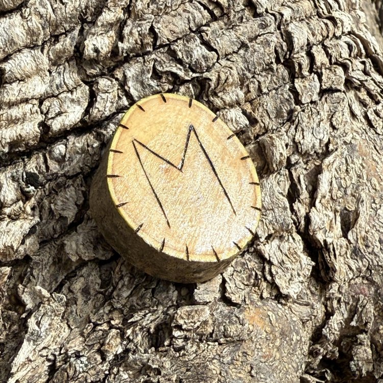  Runa Vikinga Ehwaz en Madera de Olivo – Símbolo de Cambio y Equilibrio