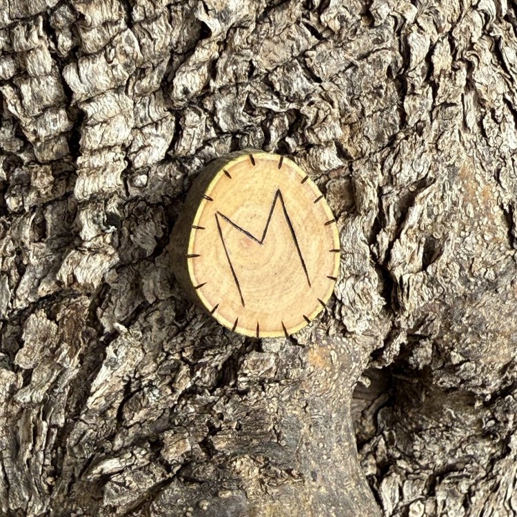  Runa Vikinga Ehwaz en Madera de Olivo – Símbolo de Cambio y Equilibrio