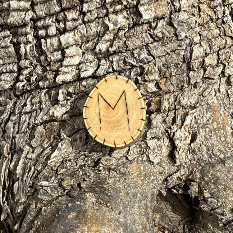  Runa Vikinga Ehwaz en Madera de Olivo – Símbolo de Cambio y Equilibrio