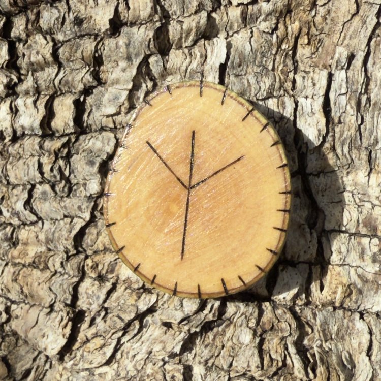 Runa Vikinga Algiz en Madera de Olivo – Símbolo de Protección y Conexión Divina