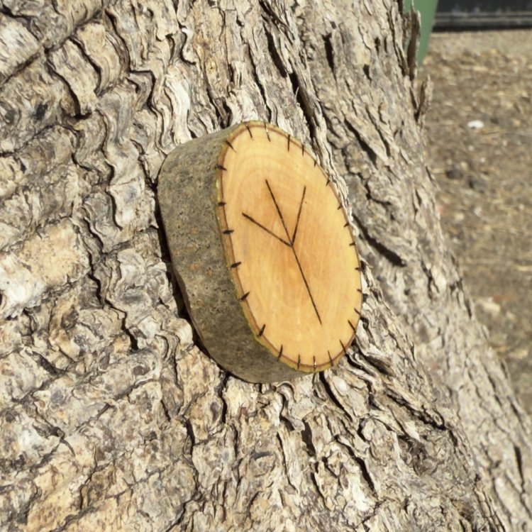  Runa Vikinga Algiz en Madera de Olivo – Símbolo de Protección y Conexión Divina