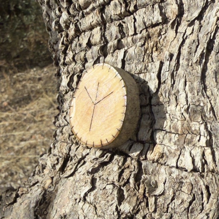  Runa Vikinga Algiz en Madera de Olivo – Símbolo de Protección y Conexión Divina