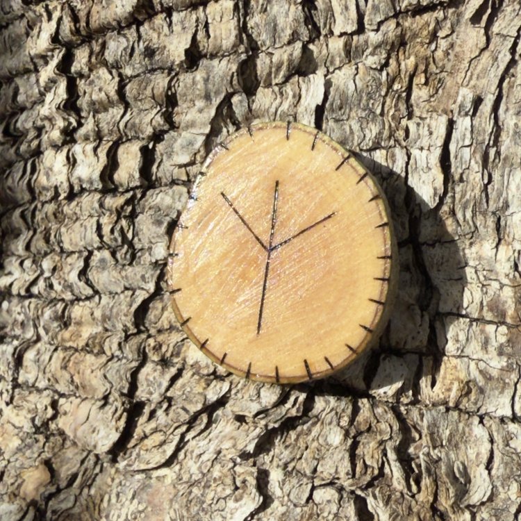  Runa Vikinga Algiz en Madera de Olivo – Símbolo de Protección y Conexión Divina