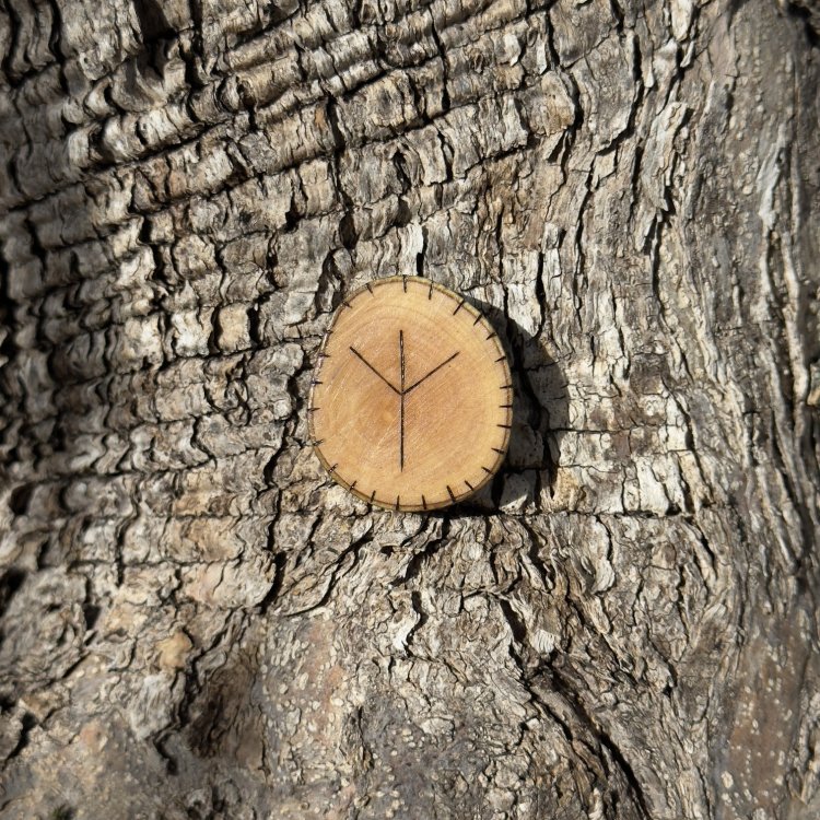  Runa Vikinga Algiz en Madera de Olivo – Símbolo de Protección y Conexión Divina