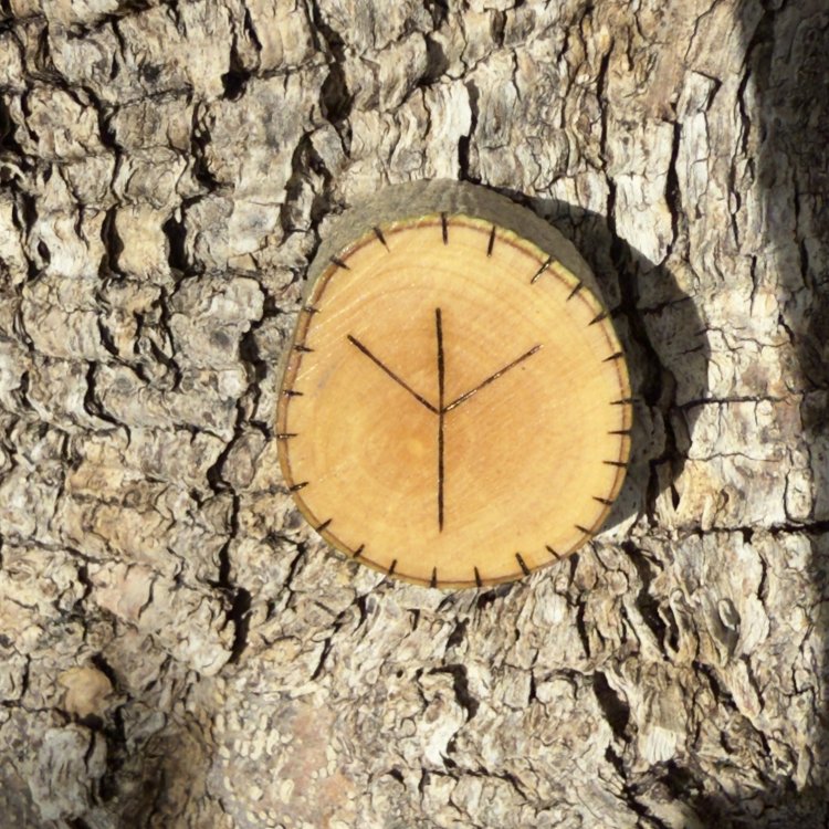  Runa Vikinga Algiz en Madera de Olivo – Símbolo de Protección y Conexión Divina