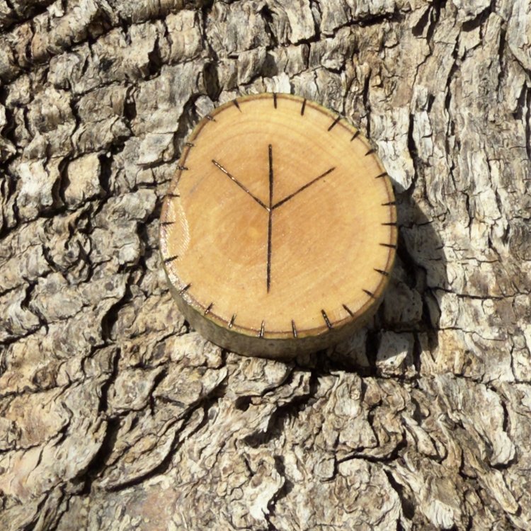  Runa Vikinga Algiz en Madera de Olivo – Símbolo de Protección y Conexión Divina