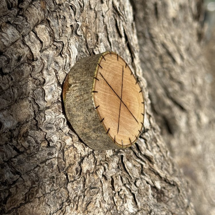  Runa Vikinga Gebo en Madera de Olivo – Símbolo de Emprendimiento y Alianzas