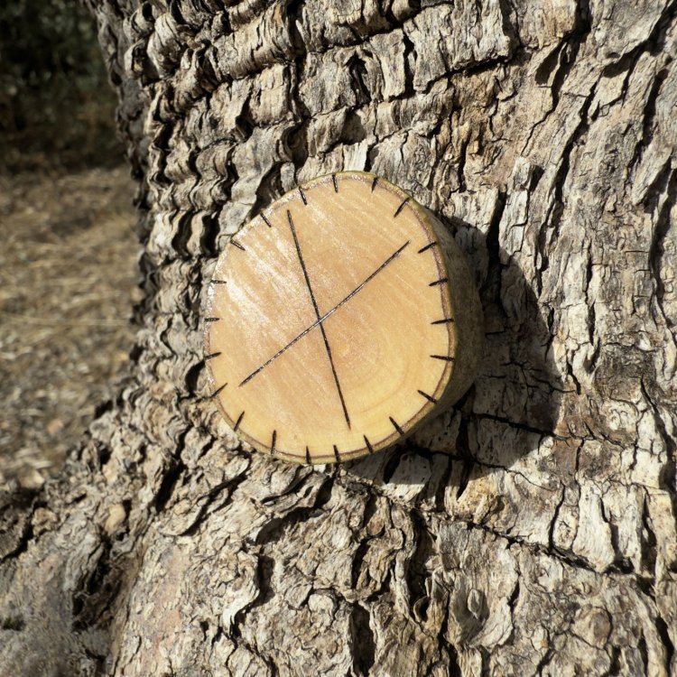  Runa Vikinga Gebo en Madera de Olivo – Símbolo de Emprendimiento y Alianzas