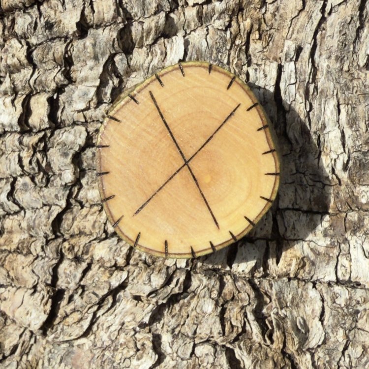  Runa Vikinga Gebo en Madera de Olivo – Símbolo de Emprendimiento y Alianzas