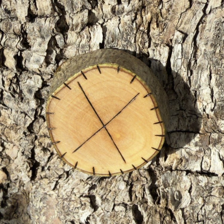  Runa Vikinga Gebo en Madera de Olivo – Símbolo de Emprendimiento y Alianzas