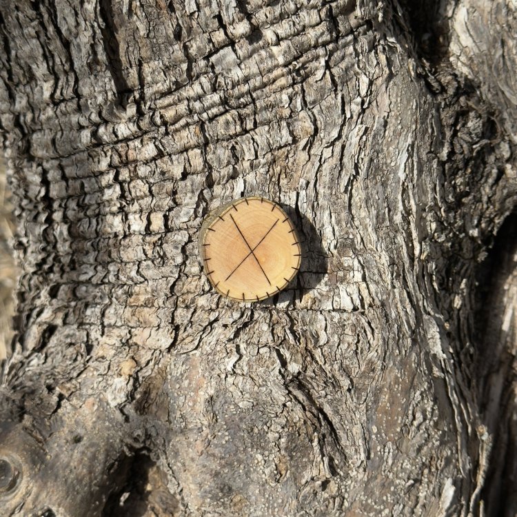  Runa Vikinga Gebo en Madera de Olivo – Símbolo de Emprendimiento y Alianzas