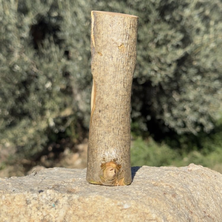  Lyoran – Espíritu Guardián del Equilibrio Interior