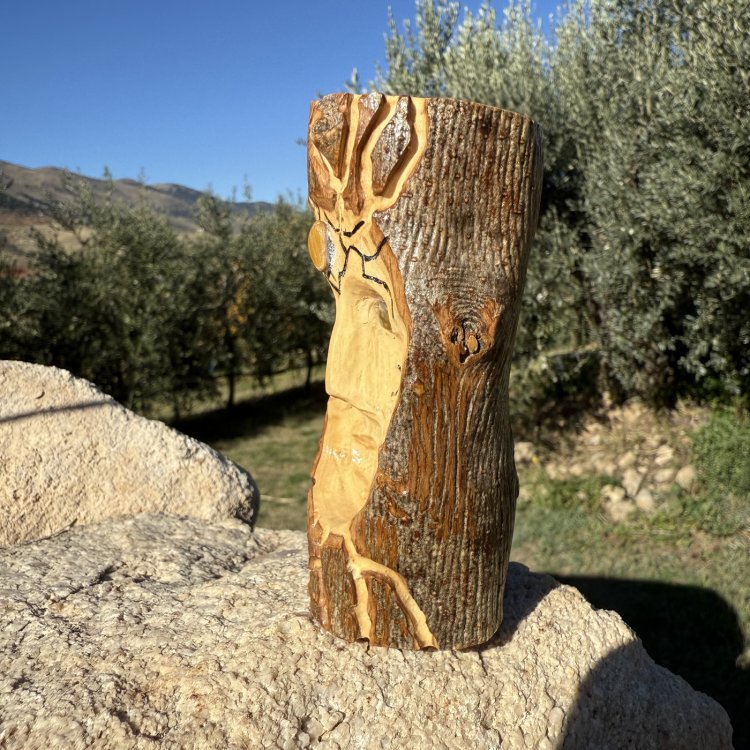  🌿 Espíritu Guardián Korënn de olivo y ojo de tigre