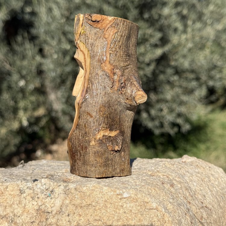  Vorendal – Guardiano della Soglia e della Visione Silenziosa