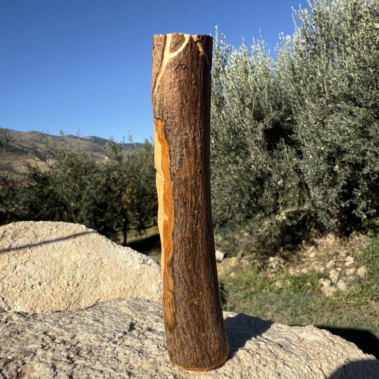  Beyrun – Guardiano del Cambiamento e della Chiarezza